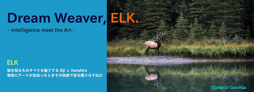 elk billboard