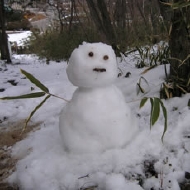 snow man